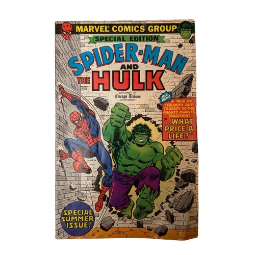 Spider man hulk edizione - hulk,